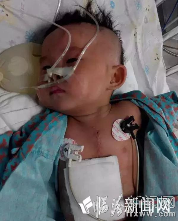 一封洪洞父亲的求助信