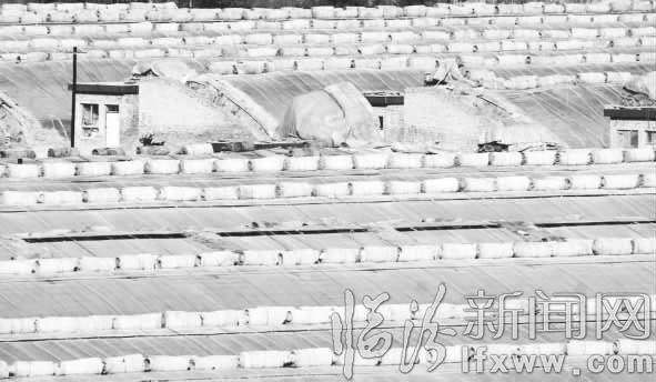 大棚菜致富隰县留城乡亲