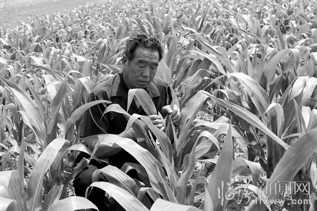 临汾:市长创新奖“出炉”记