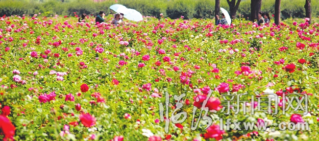 别跑了 美景就在咱汾河边