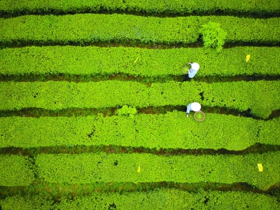 片区扶贫的新探索——武陵山片区脱贫攻坚纪实 片区扶贫的新探索——武陵山片区脱贫攻坚纪实