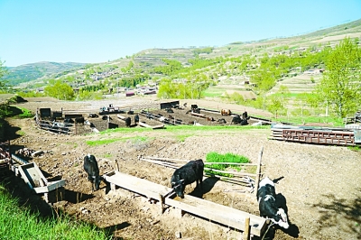 在充满希望和信心的村庄里