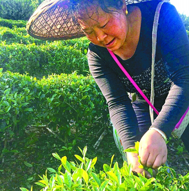 在充满希望和信心的村庄里