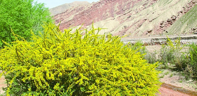 在充满希望和信心的村庄里