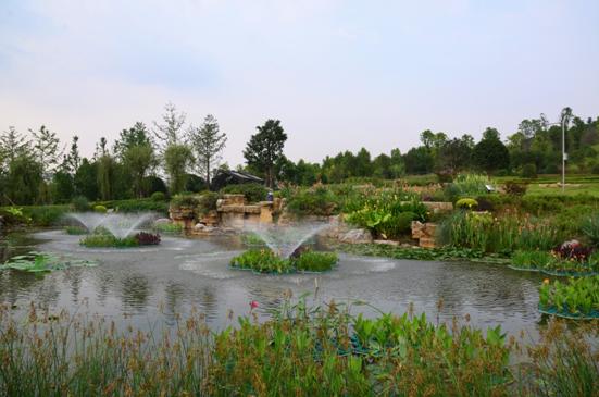 【共舞长江经济带】一江碧水出巴渝——重庆修山护水构筑长江上游生态屏障