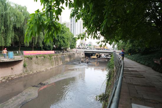 【共舞长江经济带】一江碧水出巴渝——重庆修山护水构筑长江上游生态屏障