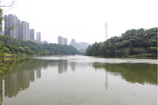 【共舞长江经济带】一江碧水出巴渝——重庆修山护水构筑长江上游生态屏障