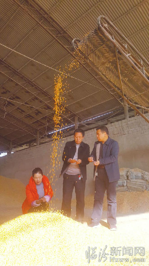 襄汾县:一切为了粮农..........