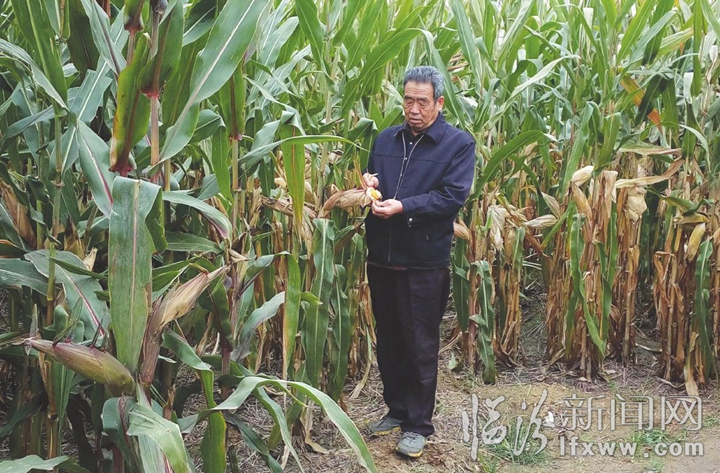 襄汾郭高升:耕耘沃土的“农业科学家”