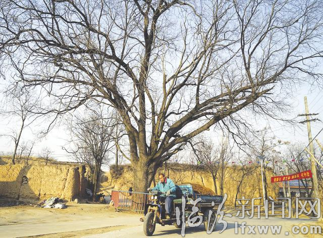 翼城续家庄:岁月见证沧桑之美