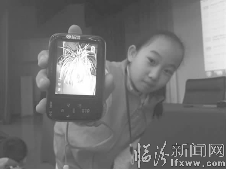 临汾晚报小记者写作及摄影知识培训课如期举办