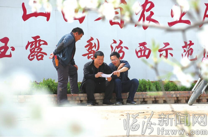 汾西:千亩梨园奏响致富曲