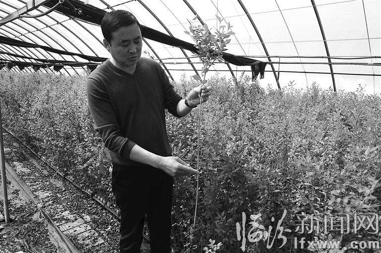 襄汾潘陈宁的绿色梦