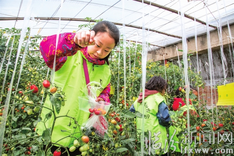 临汾广奇农业发展有限公司:生态园里春意浓