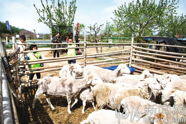 临汾广奇农业发展有限公司:生态园里春意浓