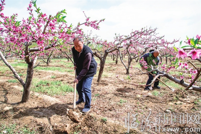 临汾广奇农业发展有限公司:生态园里春意浓