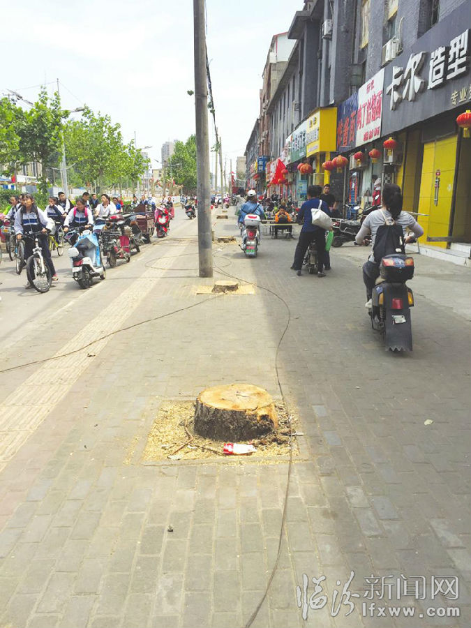 跟随镜头 带你走进临汾解放东路改造工程一线