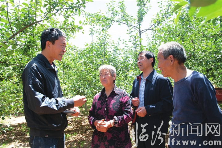 吉县李进学:撸起袖子拔穷根