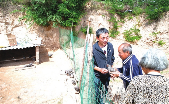 吉县李进学:撸起袖子拔穷根