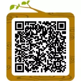 【知识点 九】如何防范校园贷?