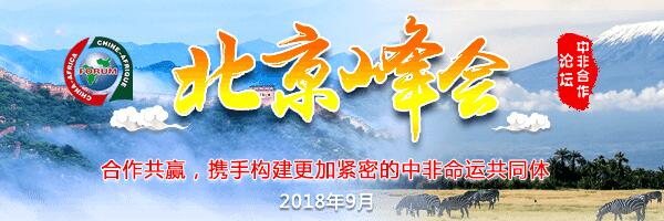 2018年中非合作论坛北京峰会