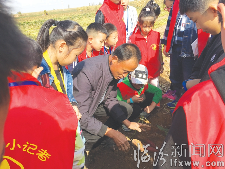 小记者走进洪洞县首届红薯文化节