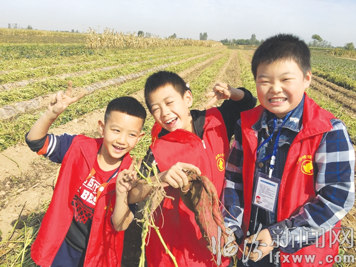 小记者走进洪洞县首届红薯文化节