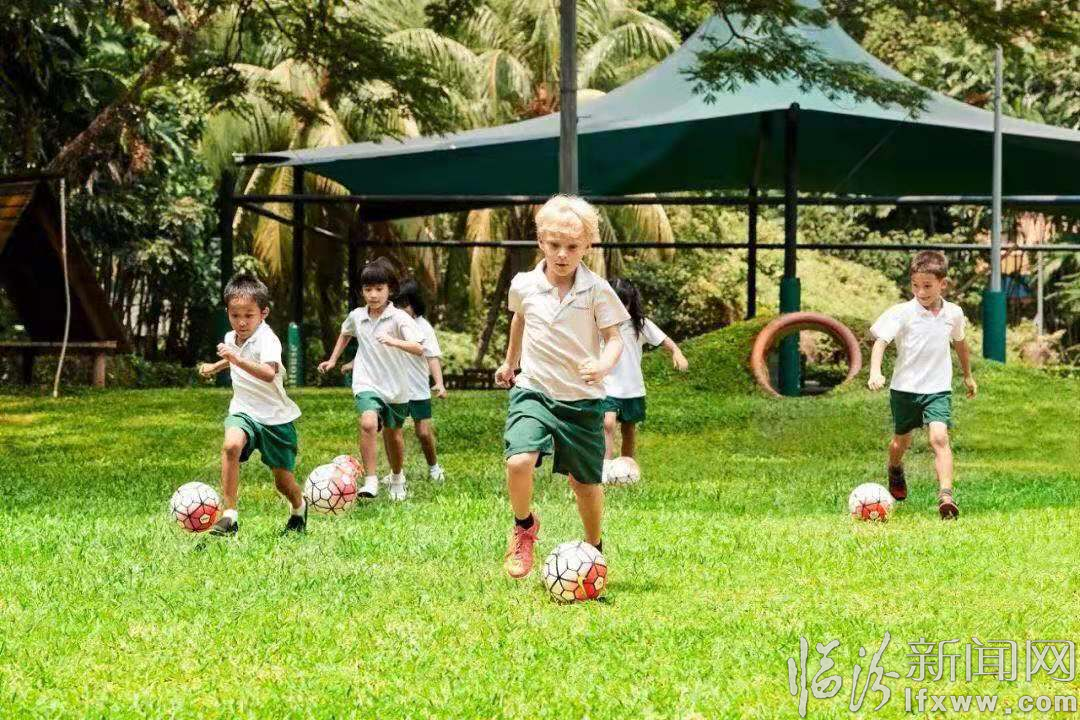 临汾幼教领域刮起国际新风