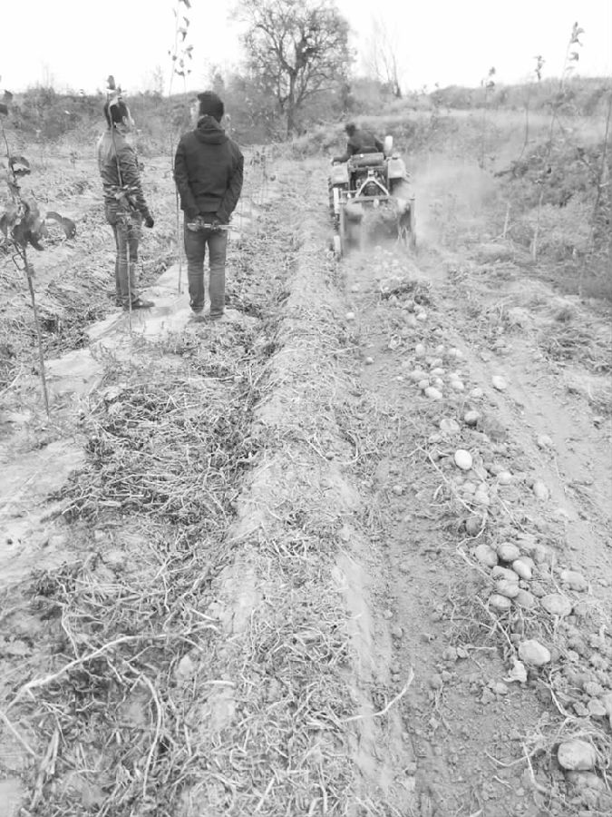 临汾:机械化助增收 农民喜上眉梢