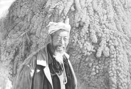 临汾:“流光溢彩”迎新春