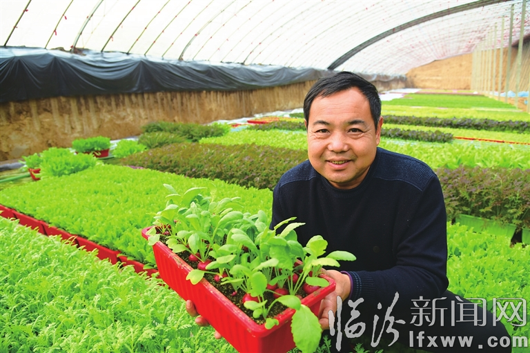 襄汾万宁村:盆栽迎春拓宽致富路