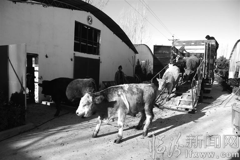 视觉新闻:临汾那些事