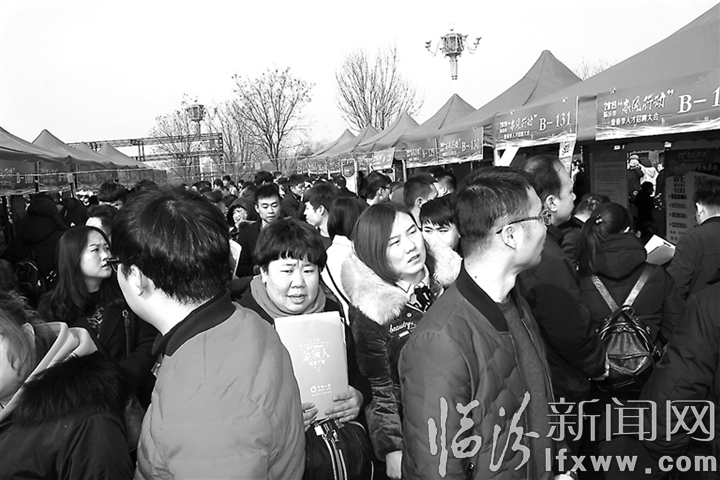 临汾2019年春季人才招聘大会掠影