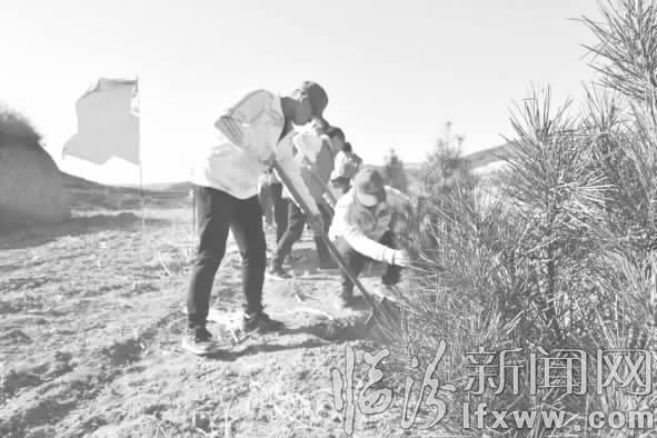 临汾新建“青年林”