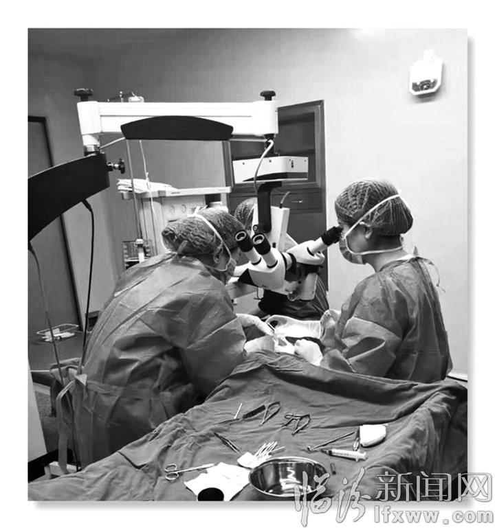 临汾爱尔眼科医院武樱:让宝宝的眼睛看得清