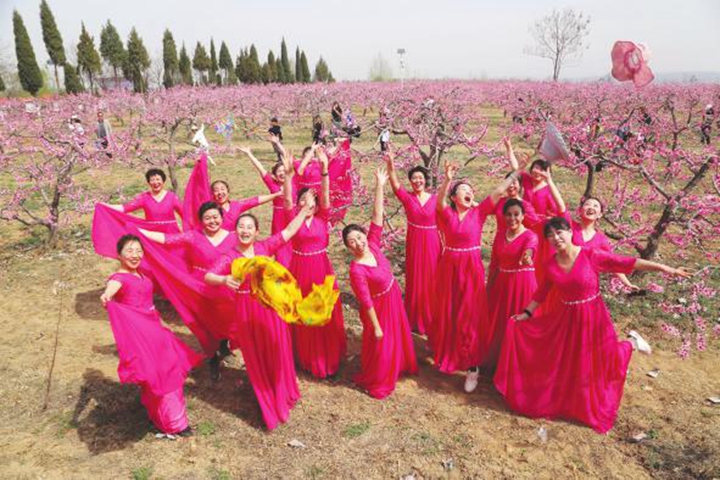 尧都区贺家庄乡:十里桃花惹人醉