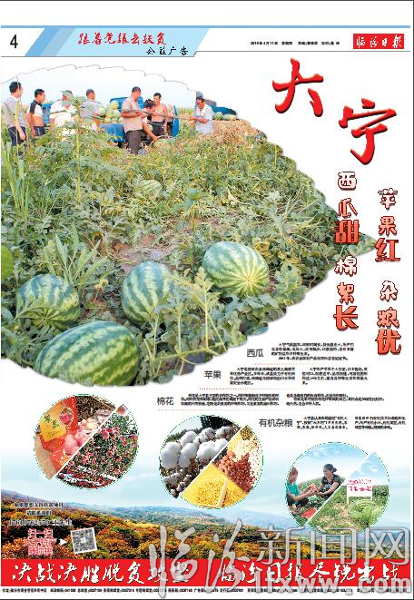 大宁:西瓜甜 棉絮长 苹果红 杂粮优