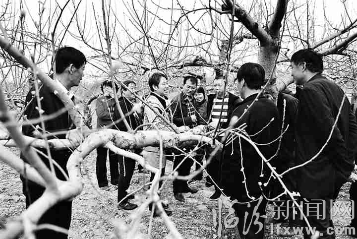 视觉新闻:临汾这些事