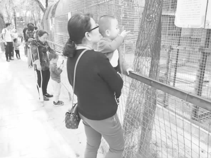 临汾动物园小长假接待游客21000余人次