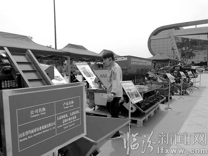 展会上,山东参展商展示大蒜一条龙作业机械。 本报记者 乔卫东 摄