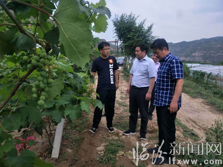 农行山西省分行副行长高世扬一行赴深度贫困县大宁、永和支行督导调研