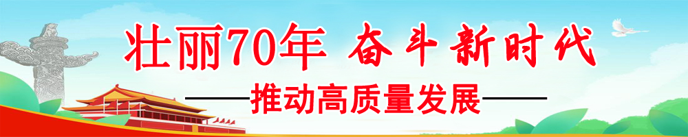 推动高质量发展