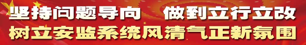 坚持问题导向 做到立行立改 树立安监系统风清气正新氛围