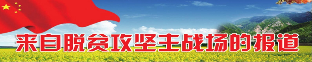 来自脱贫攻坚主战场的报道