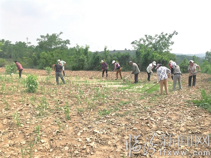 视觉新闻:临汾这些事