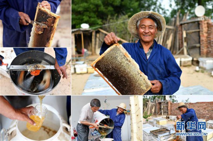 我,今年70岁——绽放在山间地头的笑容