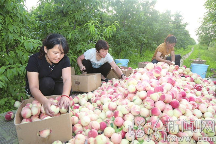 视觉新闻:临汾这些事