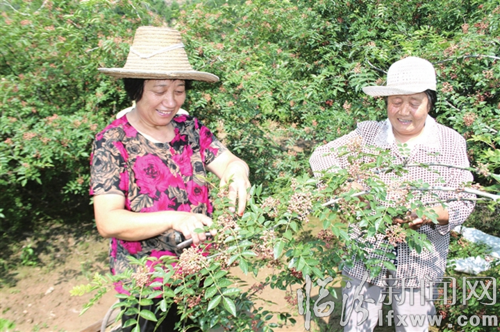 视觉新闻:临汾这些事