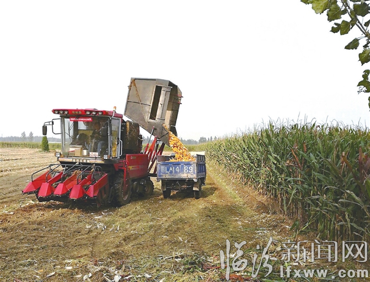 临汾:加强生产调度 提升“三秋”生产质量