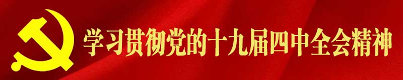 学习贯彻十九届四中全会精神